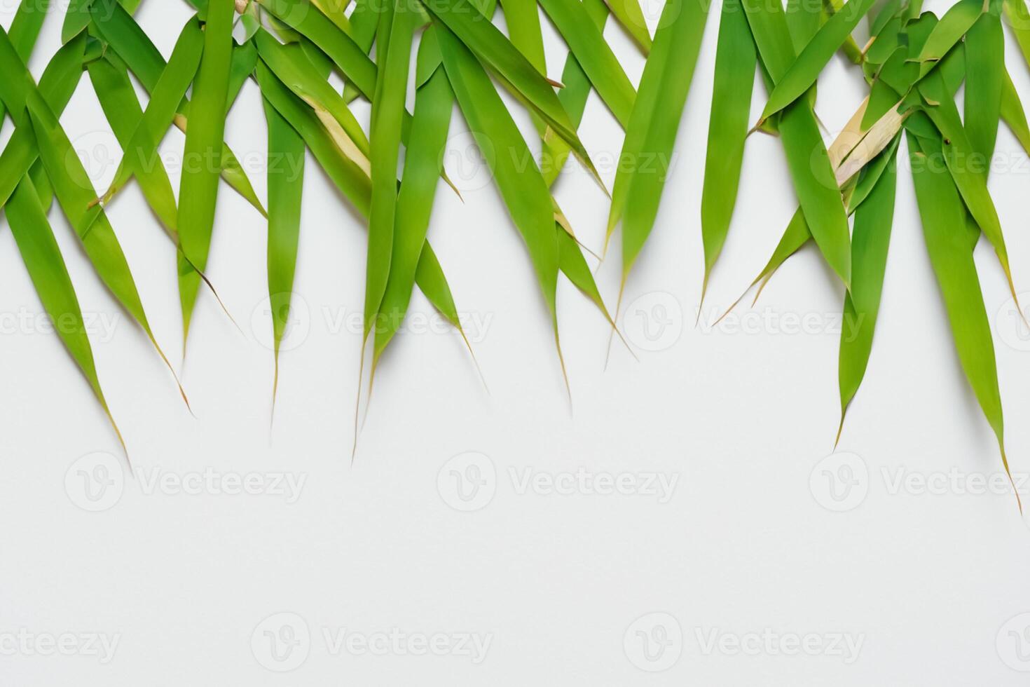 embrassement le séduire de magnifique bambou feuilles, où gracieux vert lames Danse dans harmonieux symphonie, création une tranquille oasis de la nature équilibre et intemporel beauté photo