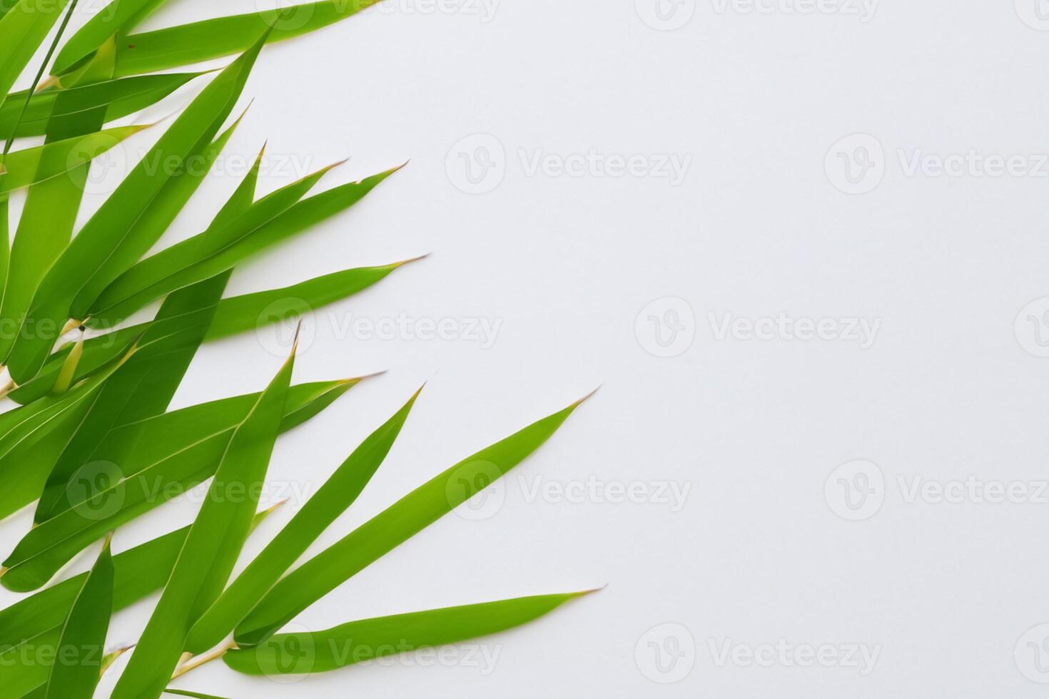 embrassement le séduire de magnifique bambou feuilles, où gracieux vert lames Danse dans harmonieux symphonie, création une tranquille oasis de la nature équilibre et intemporel beauté photo