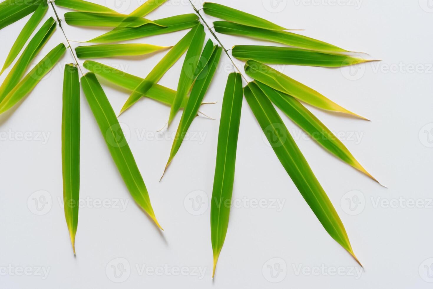 embrassement le séduire de magnifique bambou feuilles, où gracieux vert lames Danse dans harmonieux symphonie, création une tranquille oasis de la nature équilibre et intemporel beauté photo