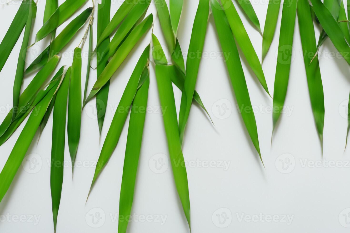 embrassement le séduire de magnifique bambou feuilles, où gracieux vert lames Danse dans harmonieux symphonie, création une tranquille oasis de la nature équilibre et intemporel beauté photo