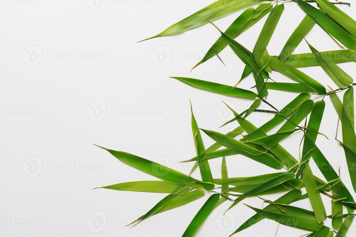 embrassement le séduire de magnifique bambou feuilles, où gracieux vert lames Danse dans harmonieux symphonie, création une tranquille oasis de la nature équilibre et intemporel beauté photo