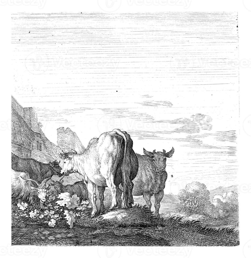 vaches et chèvres dans une paysage avec Maisons photo
