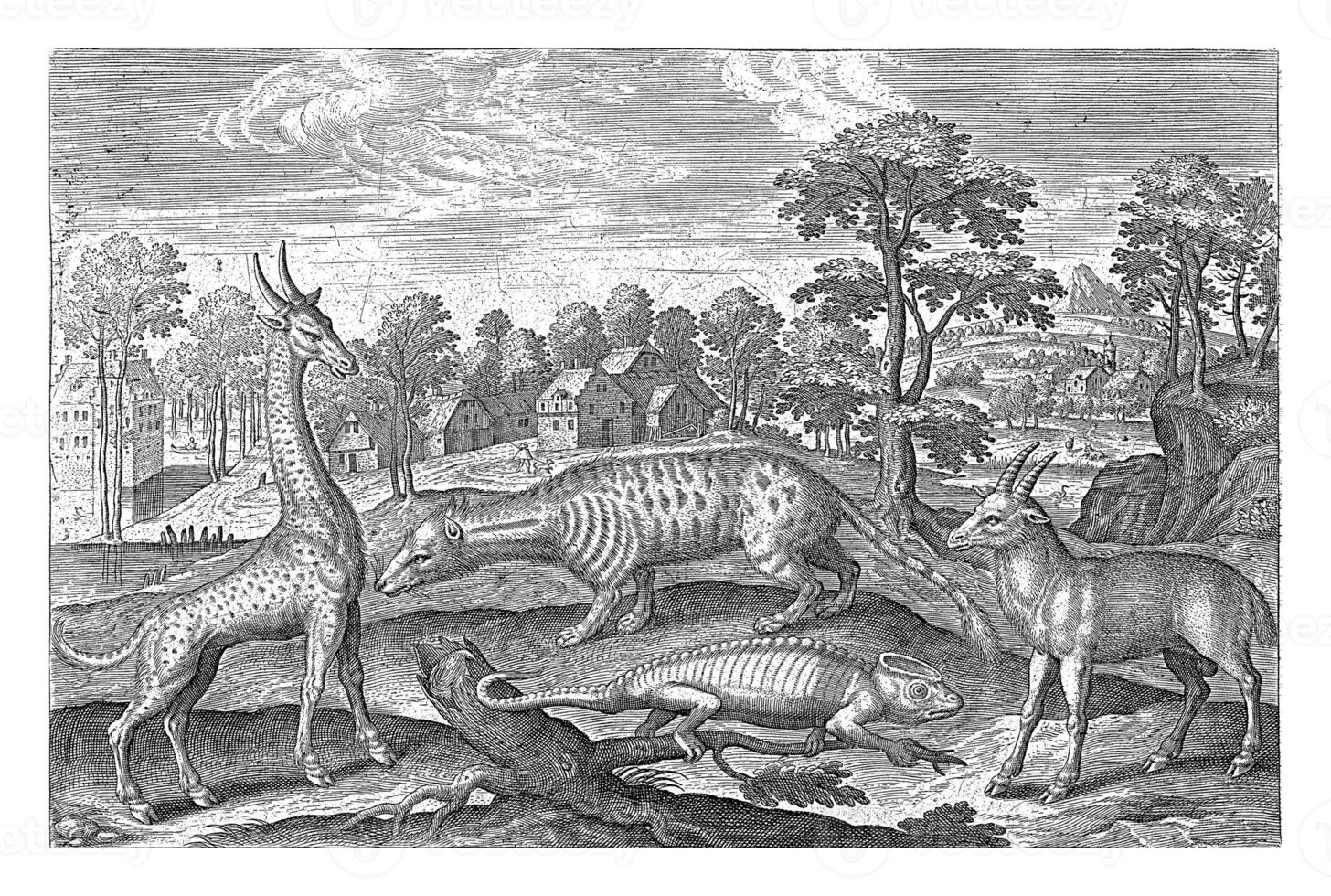 exotique animaux, adrien collier, 1595 - 1597 photo