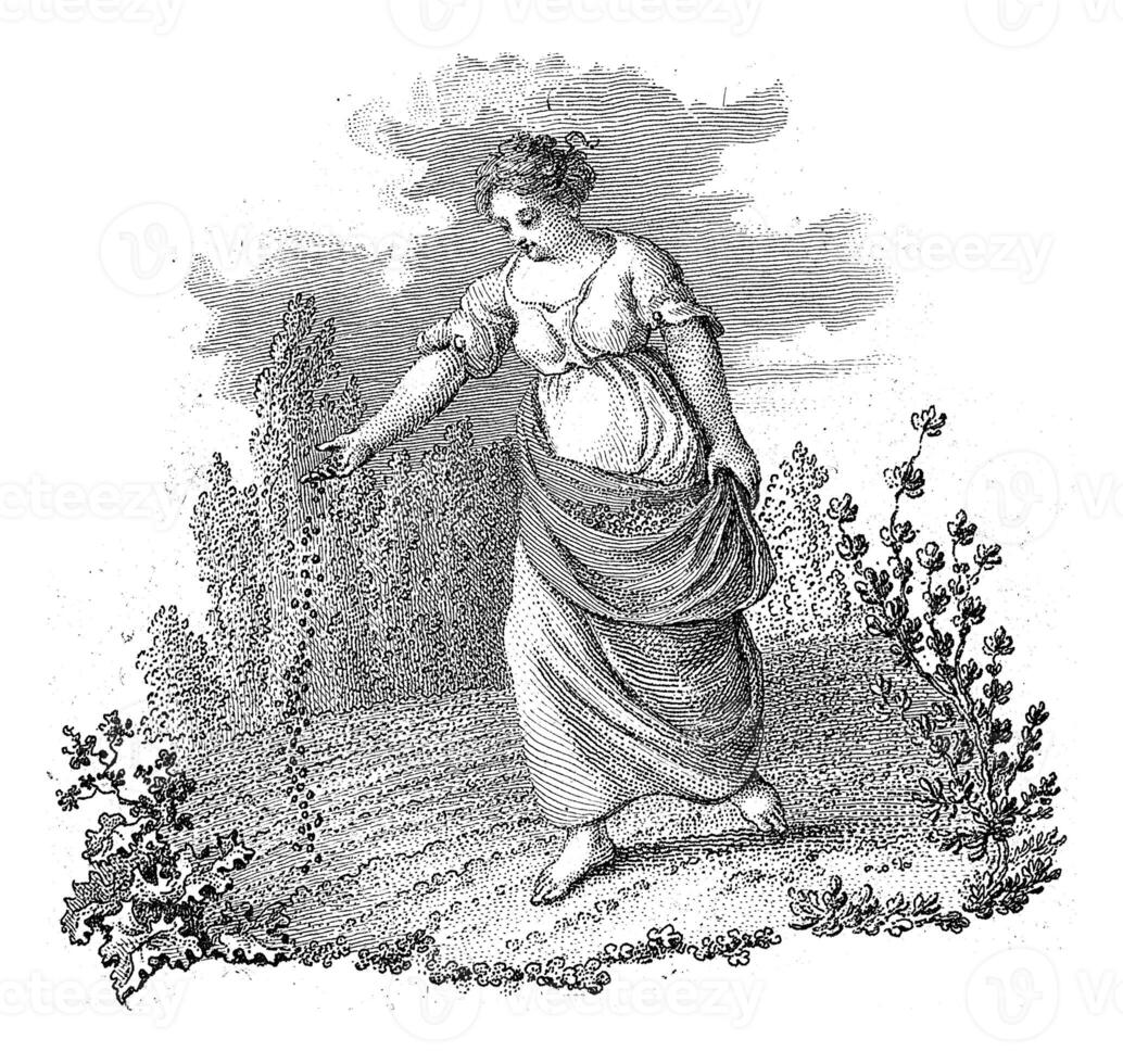 semis Jeune femme, renier vins je, 1751 - 1816 photo