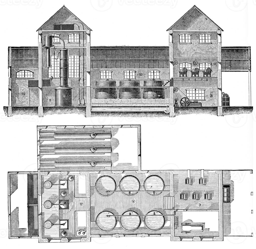 distillerie betterave travail dans continu presses, plan et élévation, ancien gravure. photo