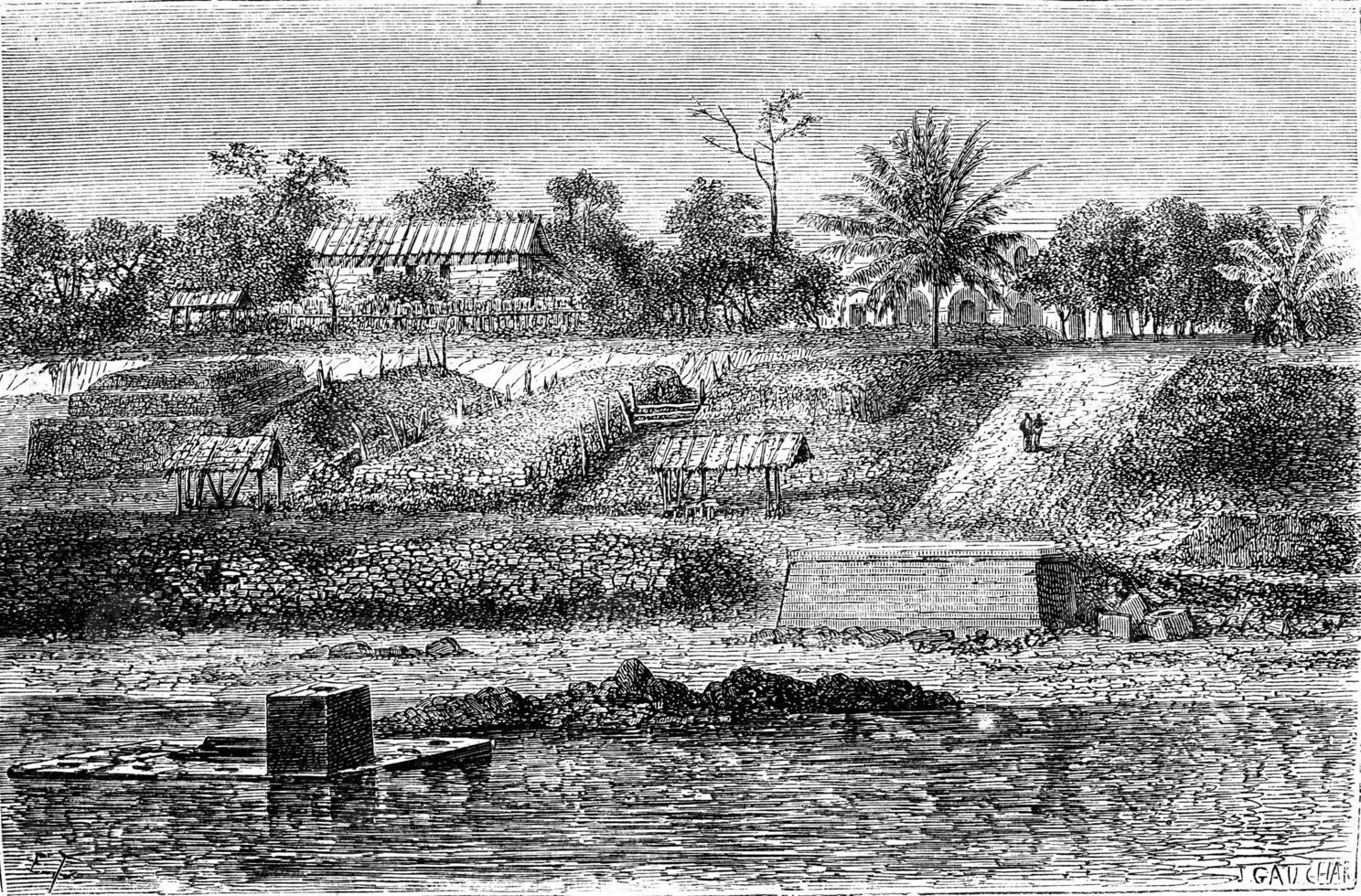 vue compteur de Gabon dans 1861 parc charbon, ancien gravure. photo