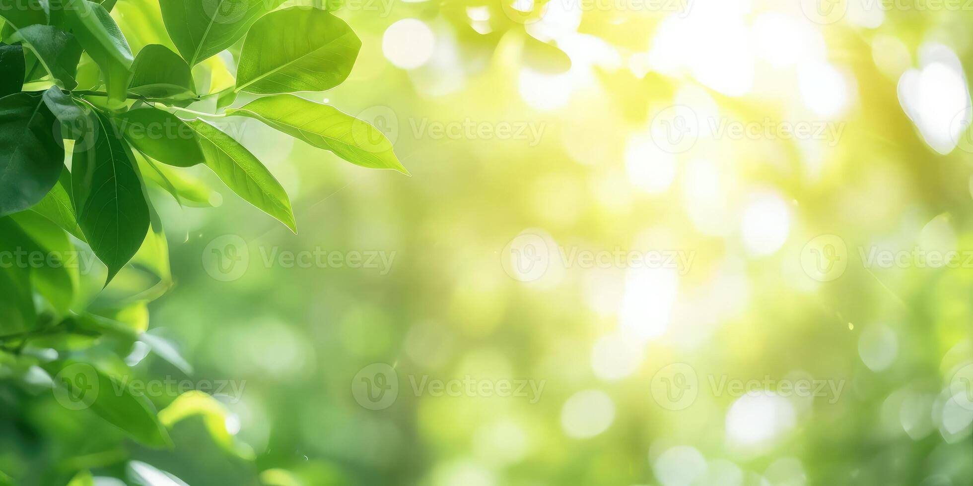 ai généré magnifique la nature vue de vert feuille sur flou verdure Contexte dans jardin et lumière du soleil avec copie espace photo