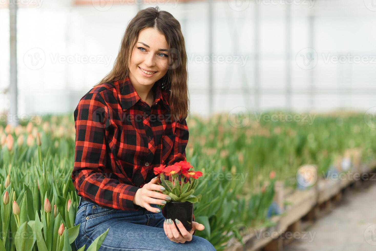 magnifique Jeune souriant fille, ouvrier avec fleurs dans serre. concept travail dans le serre, fleurs, tulipes, boîte avec fleurs. copie espace. photo