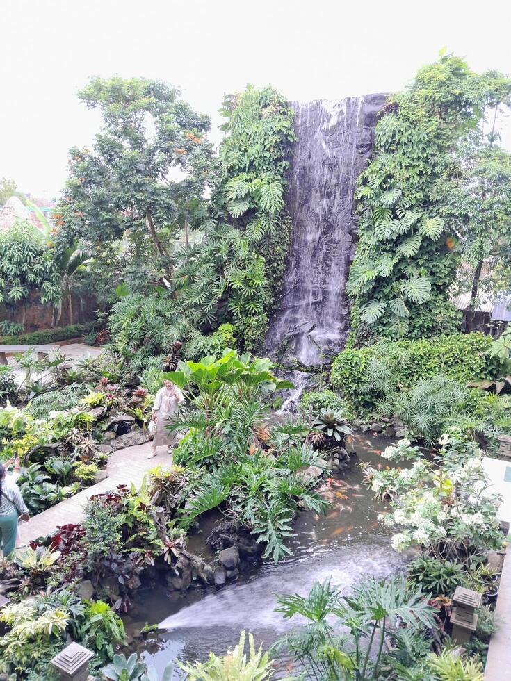 photo de une magnifique cascade jardin plein de Frais vert les plantes