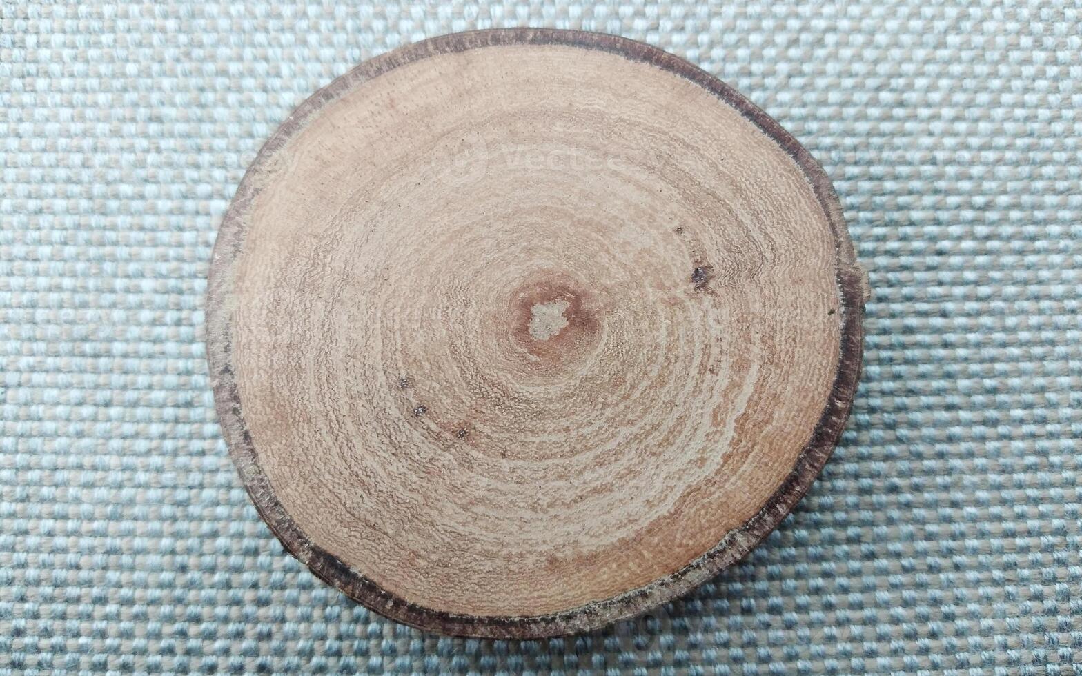 en bois traverser section de une arbre tronc sur une Contexte de vert herbe photo