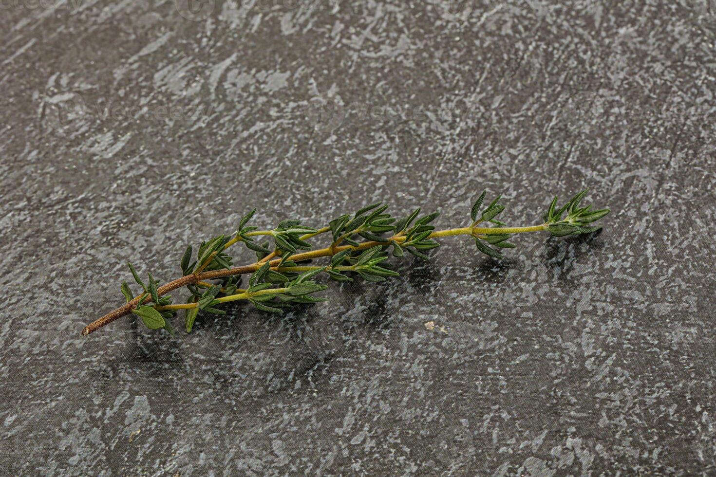 arôme assaisonnement thym tige avec feuilles photo