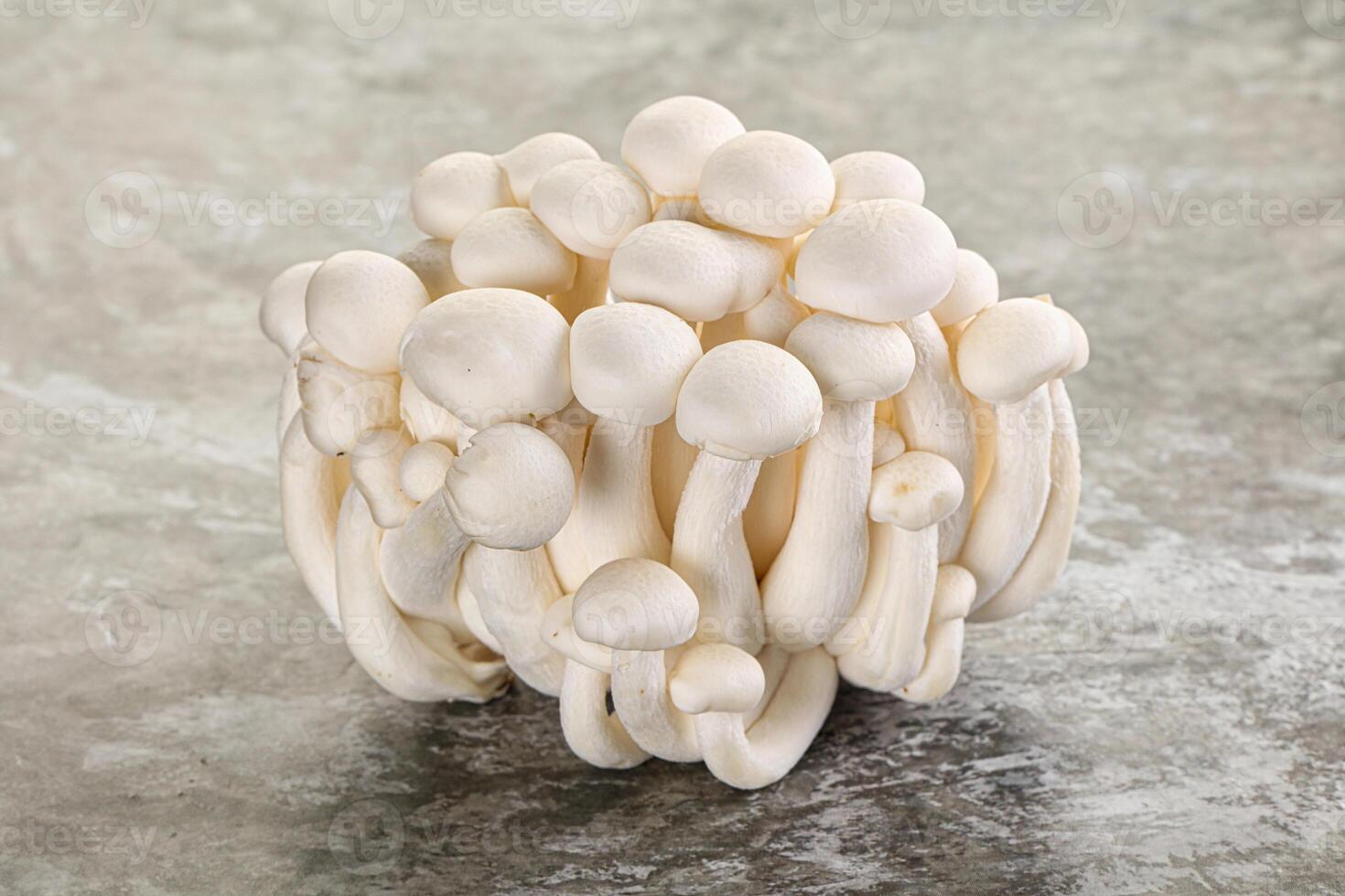 Japonais Shimeji champignon pour cuisine photo