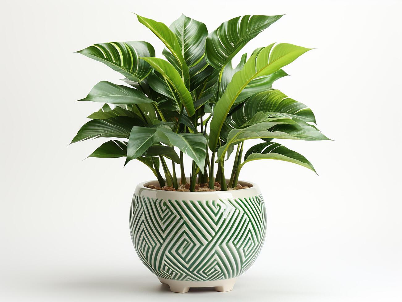 ai généré plante pot pour décoration photo