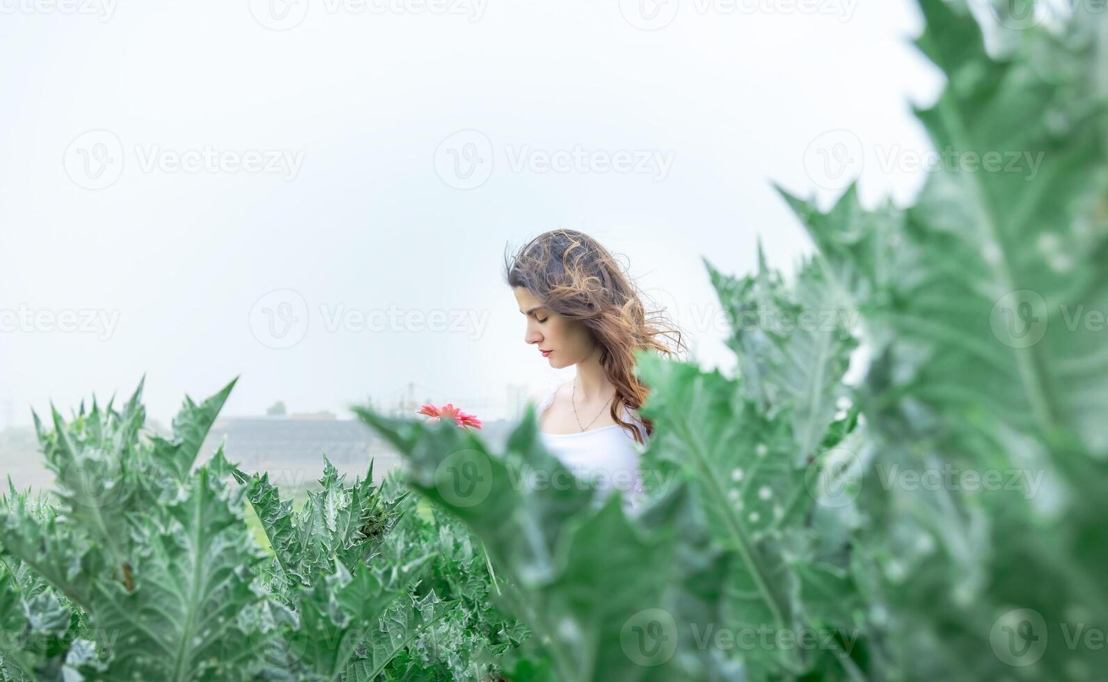 jolie Jeune fille dans le nature, fille dans le parc photo