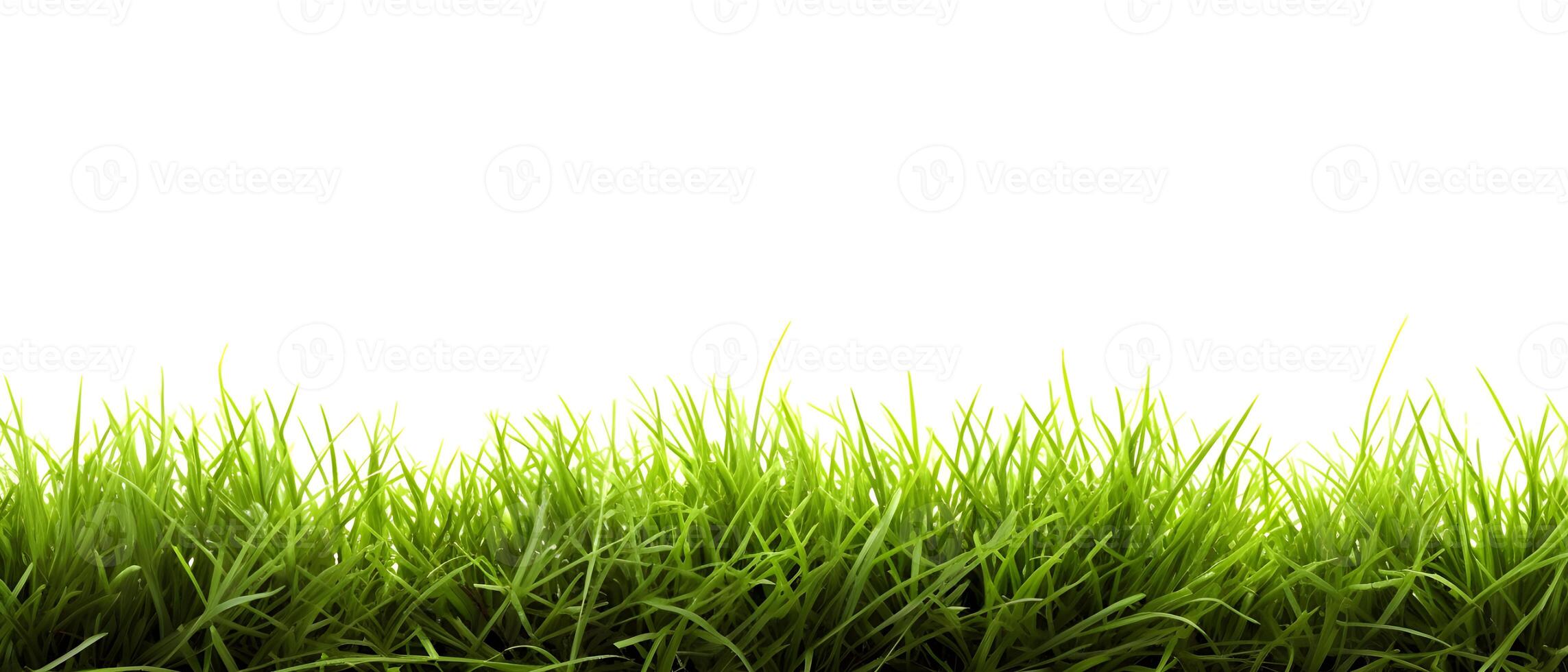 ai généré Frais printemps vert herbe sur blanc Contexte. établi avec génératif ai photo
