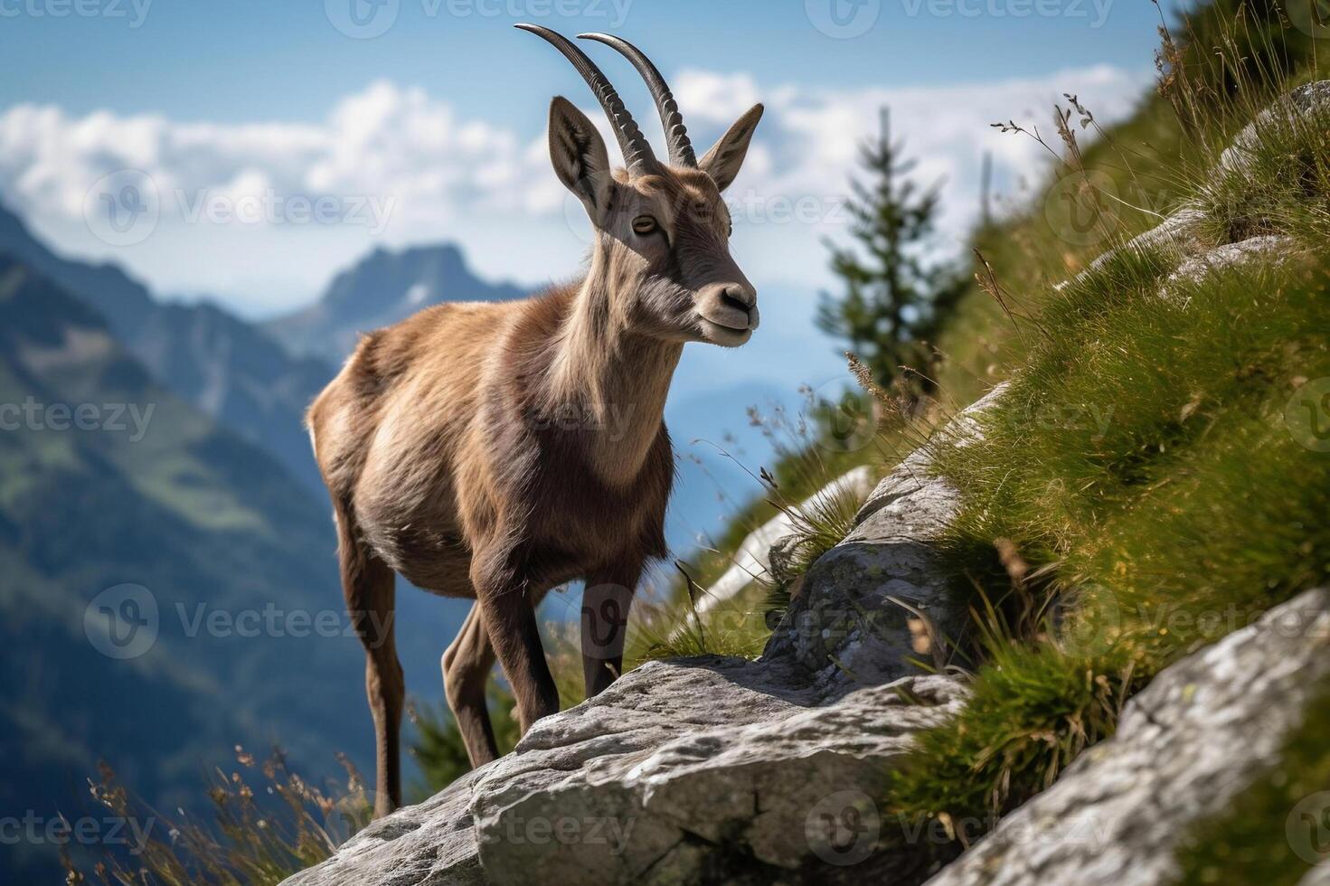 ai généré ibex décision le rocheux falaises de le européen Alpes. établi avec génératif ai photo