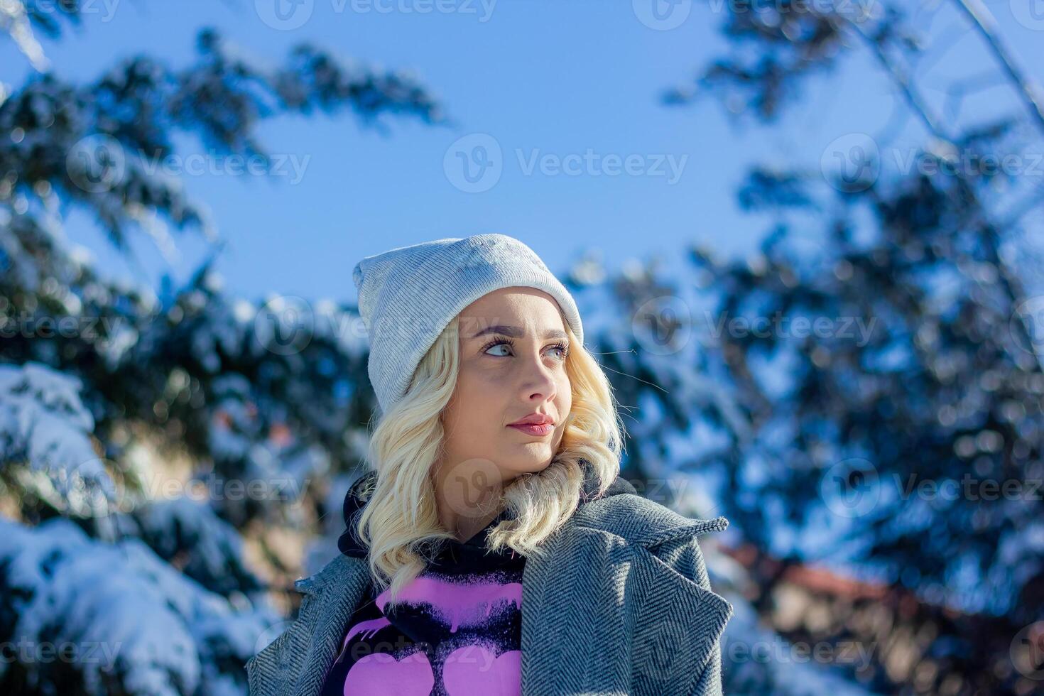 portrait de une femme dans une parc, portrait de une femme dans hiver parc, portrait de une blond femme, femme dans chapeau photo