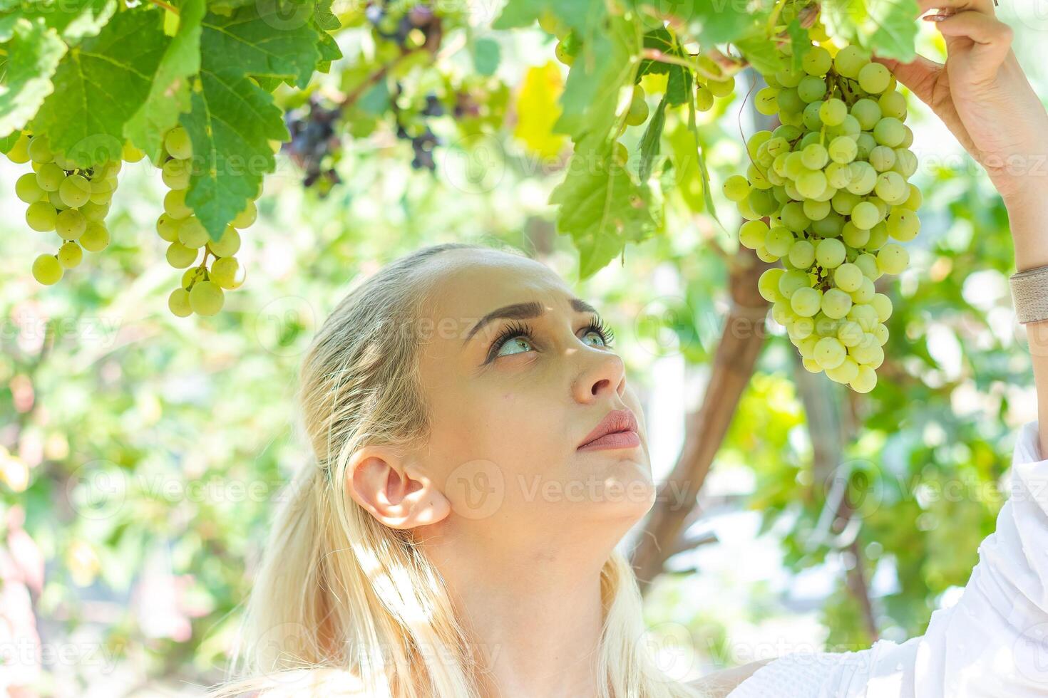 portrait de une jolie femme, vert yeux photo