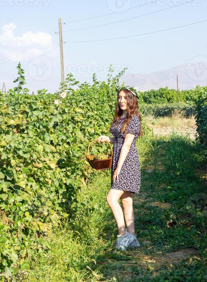 jolie Jeune femme dans le la nature photo