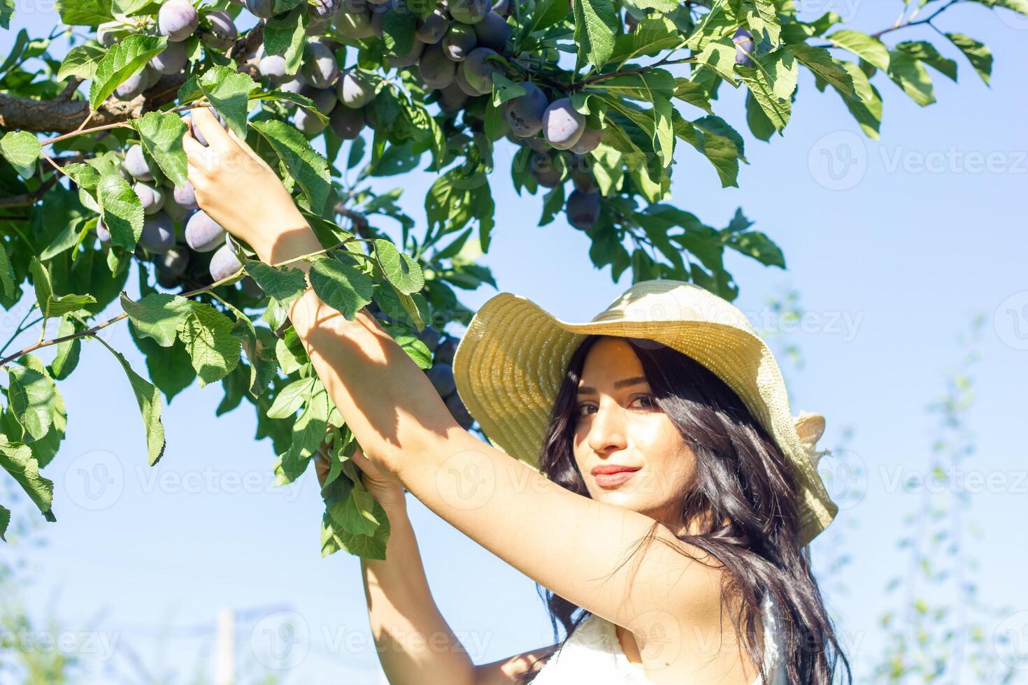 jolie Jeune femme dans le nature, été paysage photo