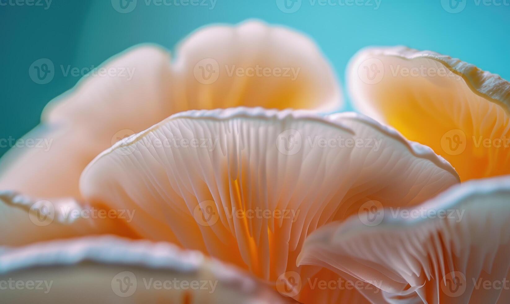 ai généré champignon pleurotus ostreatus fermer photo