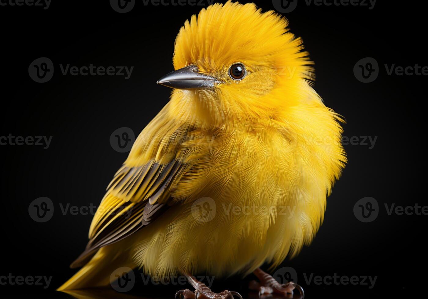 ai généré petit Jaune oiseau sur une branche sur foncé Contexte. photo