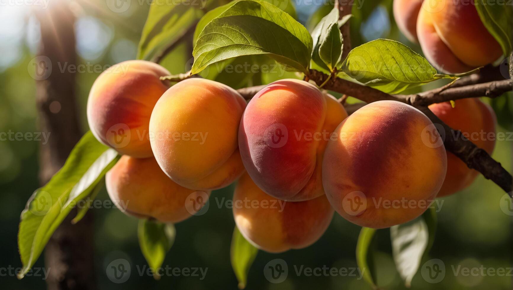 ai généré mûr les pêches sur une branche dans le jardin photo