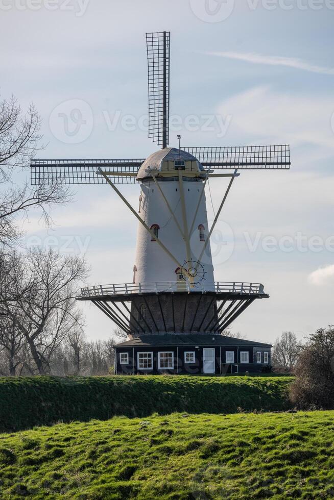 Moulin à vent de koe ,vrai, la Zélande, Pays-Bas photo