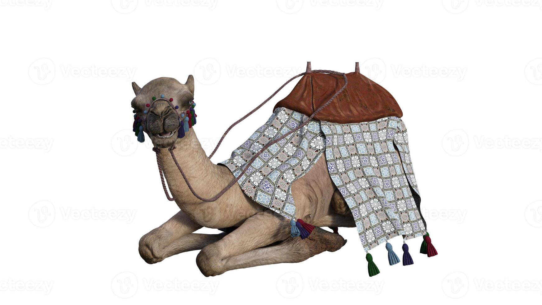 chameau sur une blanc Contexte photo