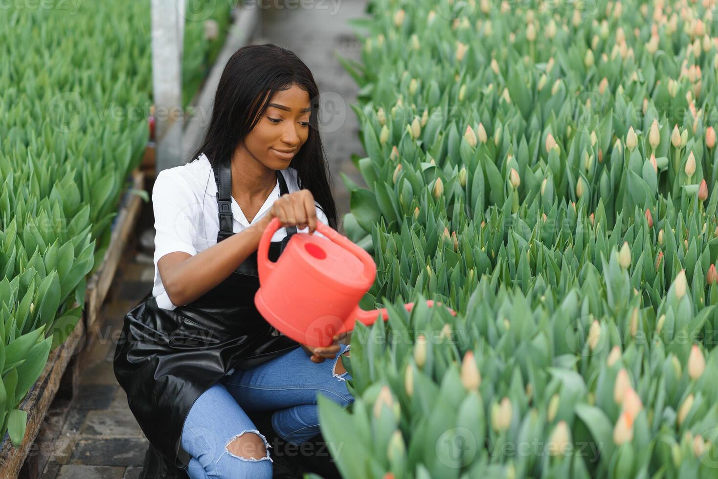 content africain femelle garderie ouvrier arrosage plante photo