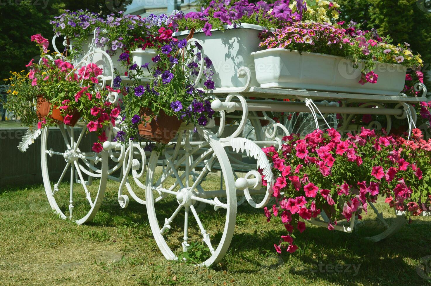 blanc Extérieur décoratif parterre de fleurs - le chariot Chariot avec grand roues chargé avec des boites de épanouissement rouge, lilas et rose pétunias photo