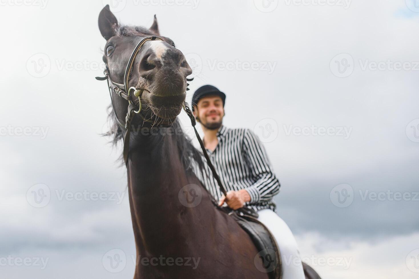 magnifique homme équitation une cheval sur champ à été photo