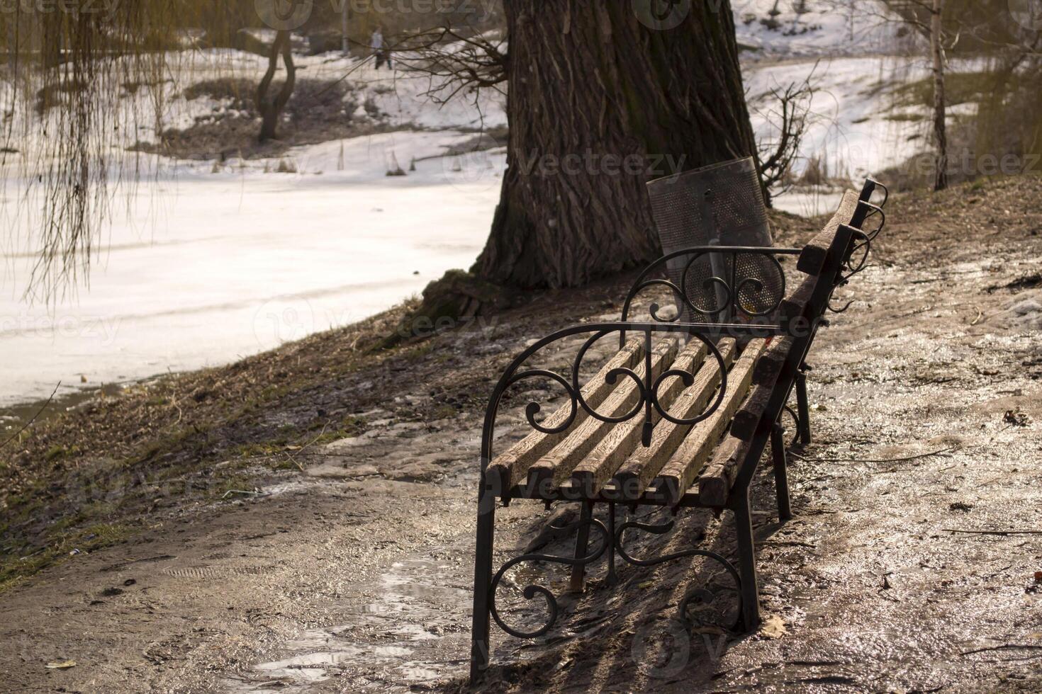 le près Lac dans hiver parc photo