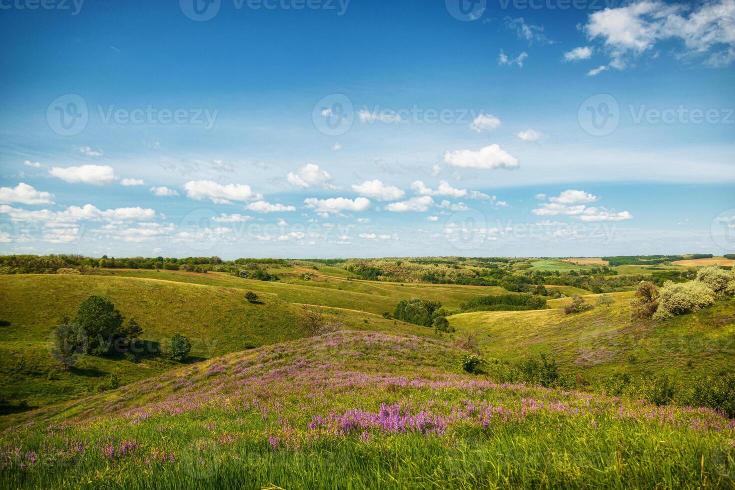 magnifique Prairie sur le collines avec herbe et fleurs contre le Contexte de le mer et le ciel photo