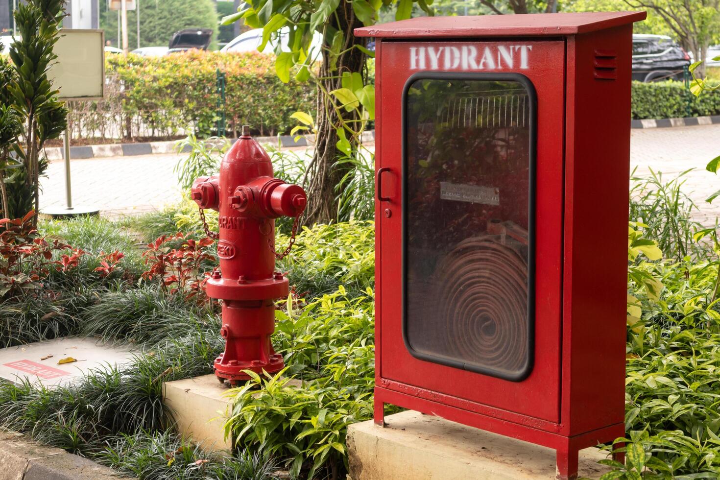 rouge Feu bouche d'incendie et bouche d'incendie tuyau boîte dans le parc. Extérieur. photo