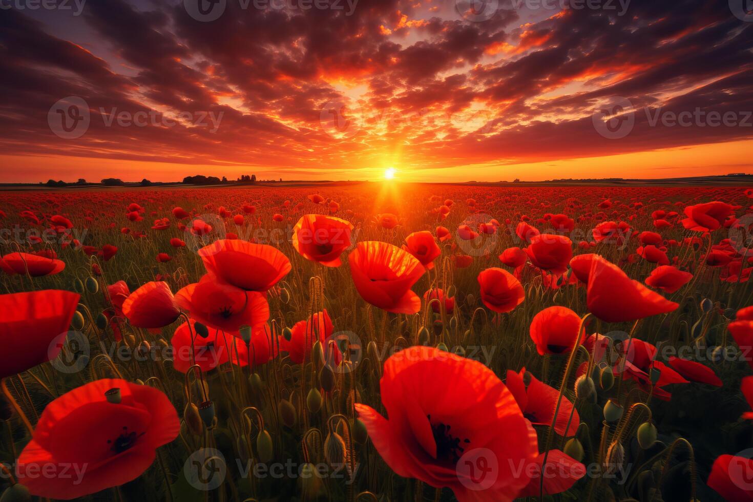 ai généré vibrant coquelicot champ le coucher du soleil art peindre. produire ai photo