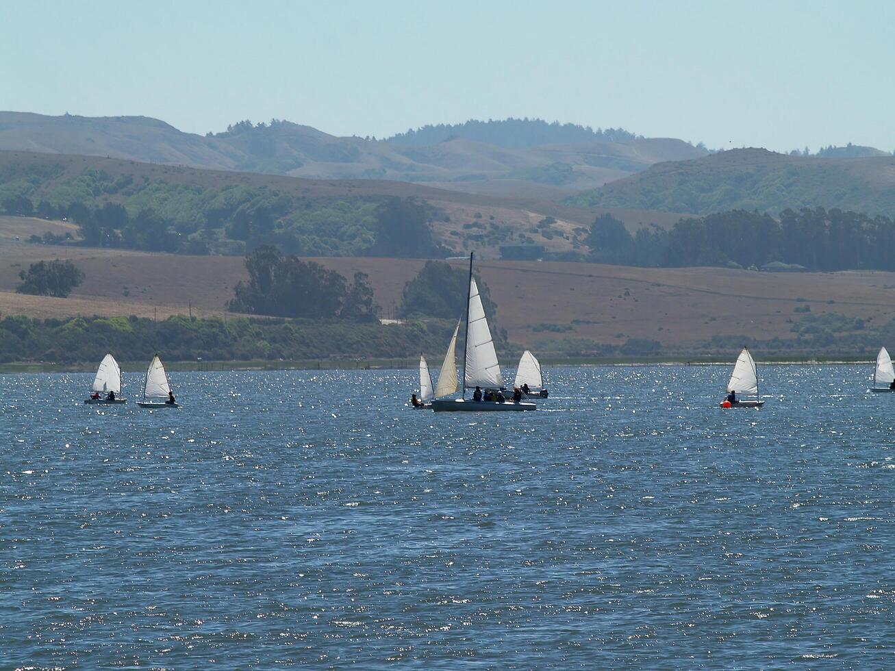 Sausalito, Californie, 2008 - petit voiliers voile sur san francisco baie collines dans Contexte photo