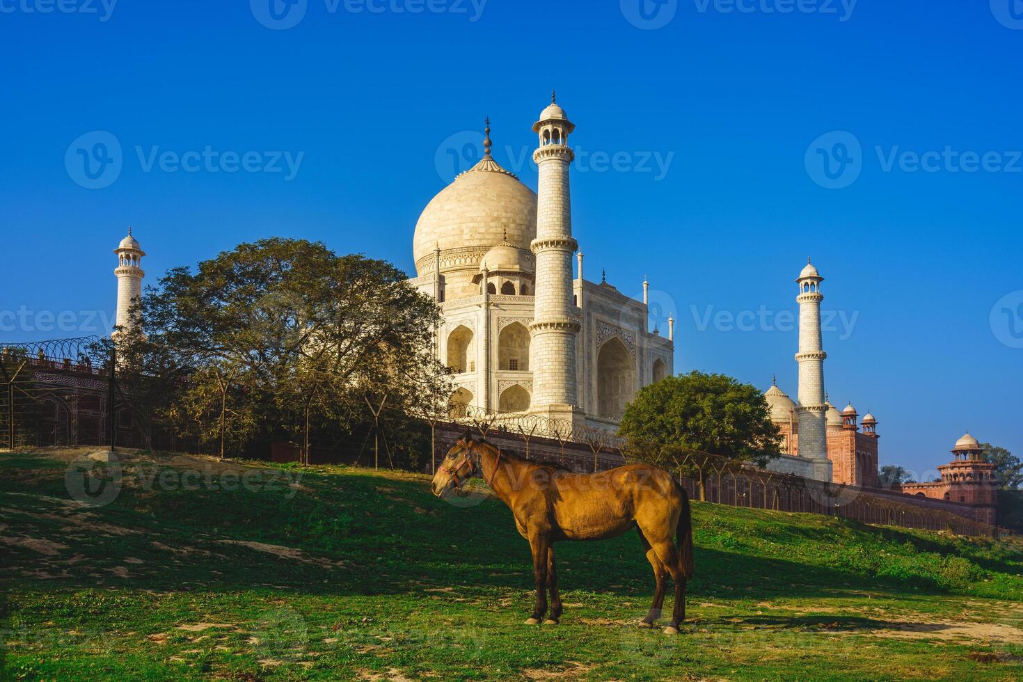 taj Mahal, unesco monde patrimoine placer, dans agra, Inde à crépuscule photo