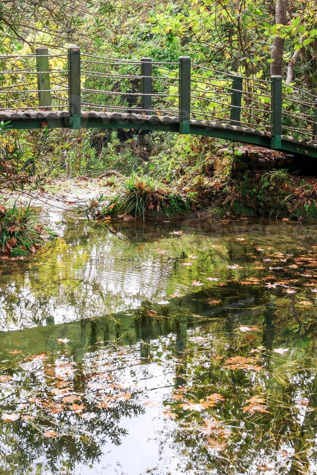 en bois pont plus de une ruisseau dans une luxuriant vert parc avec coloré tomber feuillage photo