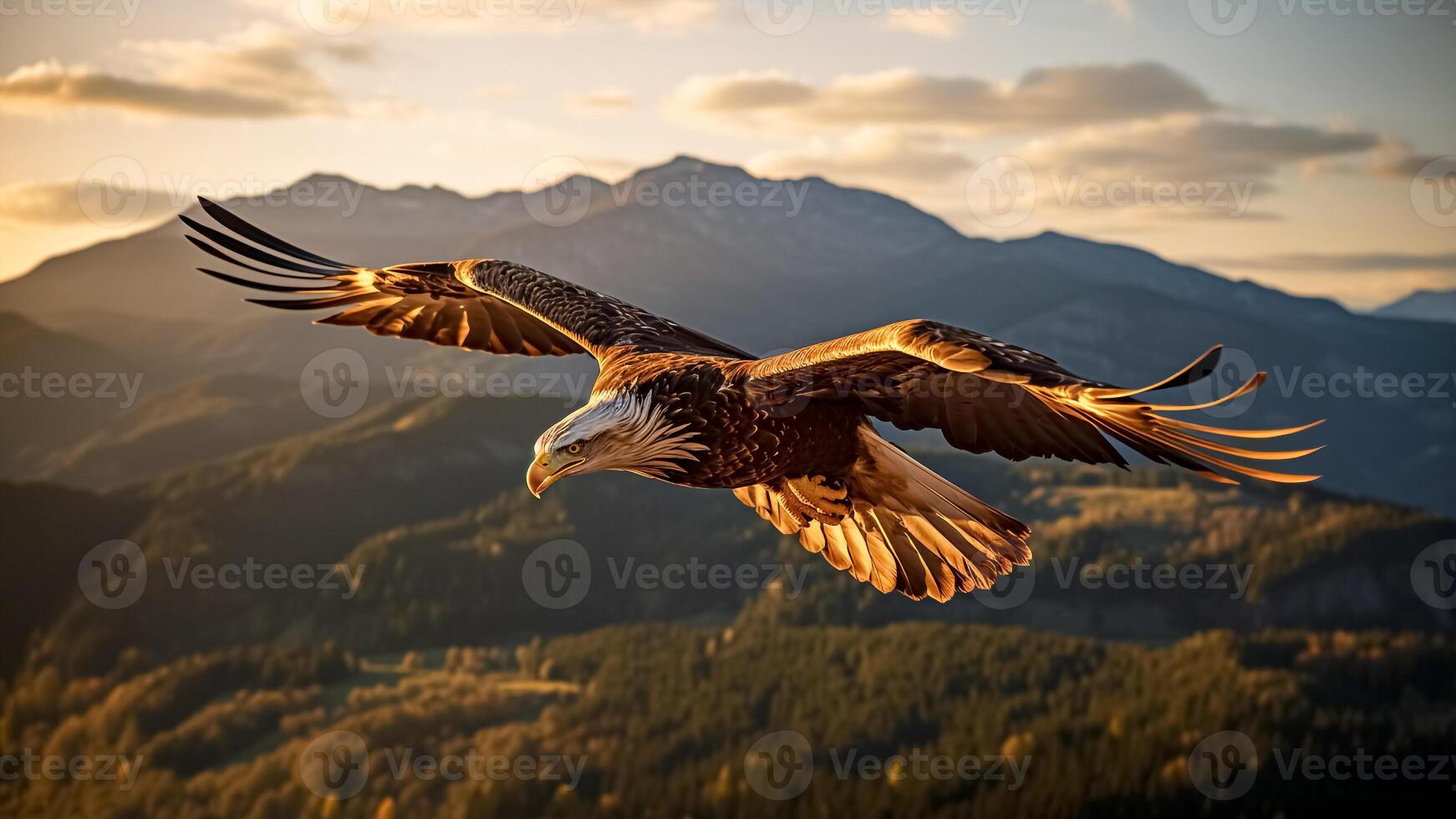 ai généré chauve aigle, haliaeetus leucocephalus en volant à le coucher du soleil dans le montagnes Contexte. liberté dans vol. photo