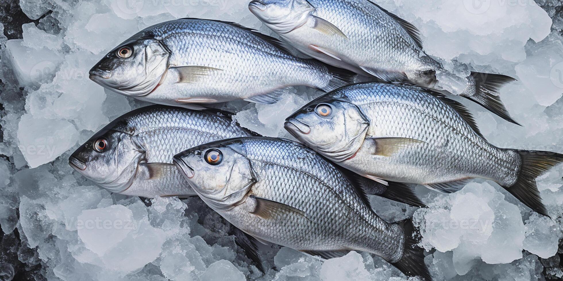 ai généré photoréaliste image de fraîchement pris mer poisson sur un la glace lit photo