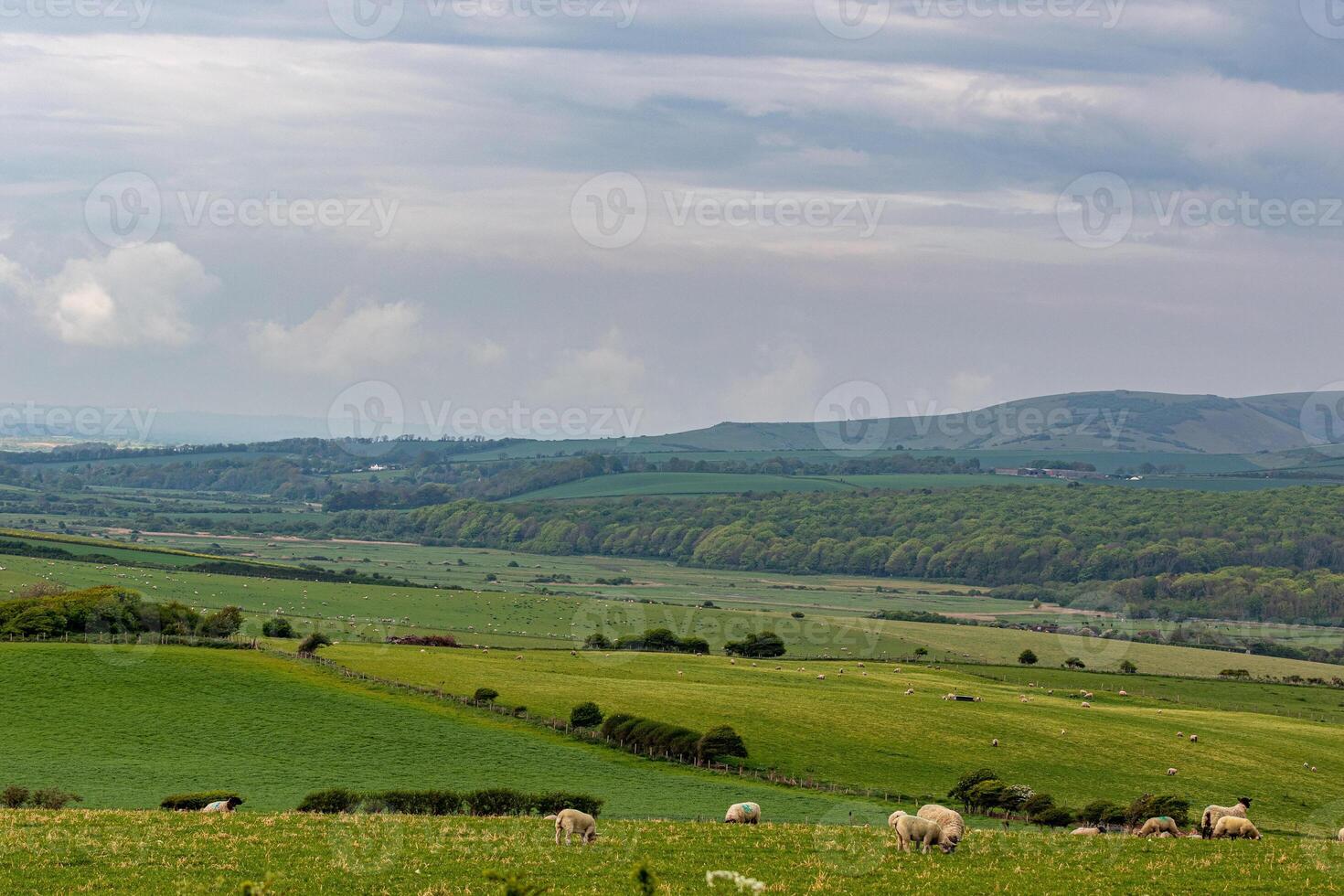 roulant vert collines avec pâturage mouton en dessous de une nuageux ciel. photo