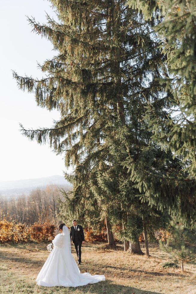 une mariage couple est en marchant dans la nature sur un l'automne journée. content Jeune la mariée et élégant jeune marié en portant mains. une élégant couple de jeunes mariés sur leur mariage journée. photo