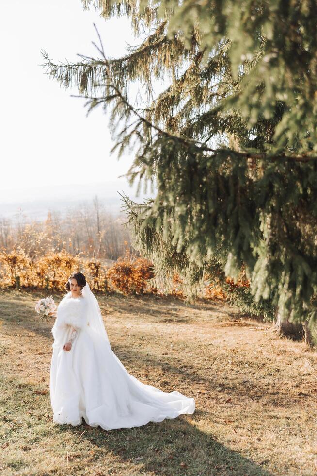 portrait. une brunette la mariée dans une robe et une voile, avec une élégant couronne, pose avec une bouquet. argent bijoux. magnifique maquillage et cheveux. l'automne mariage. fête photo