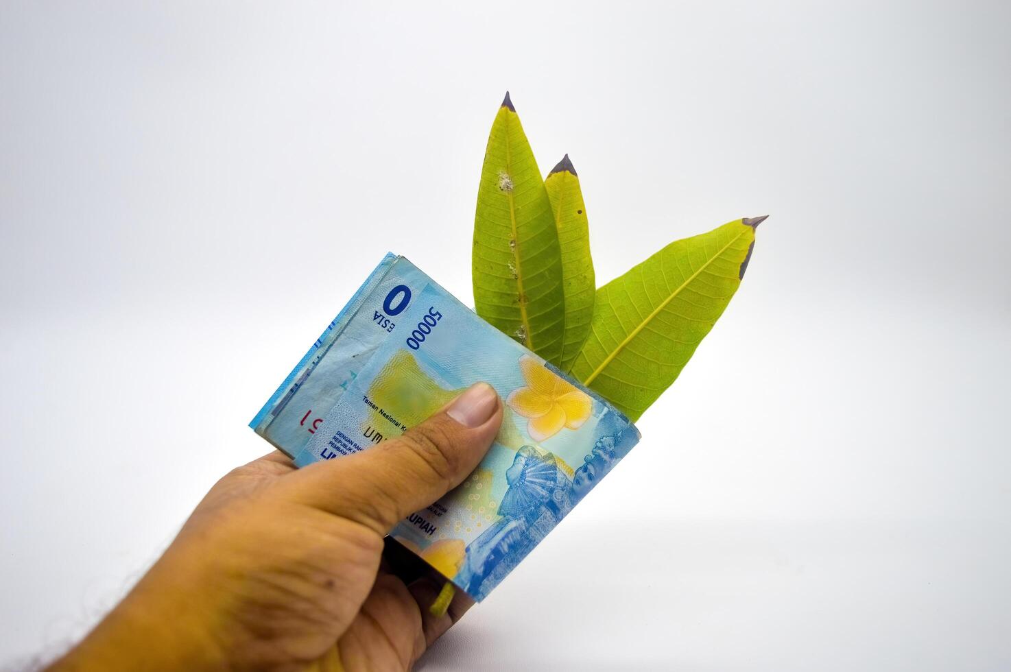 main en portant cinquante mille Rupiah Remarques plié avec Trois feuilles isolé sur blanc Contexte photo