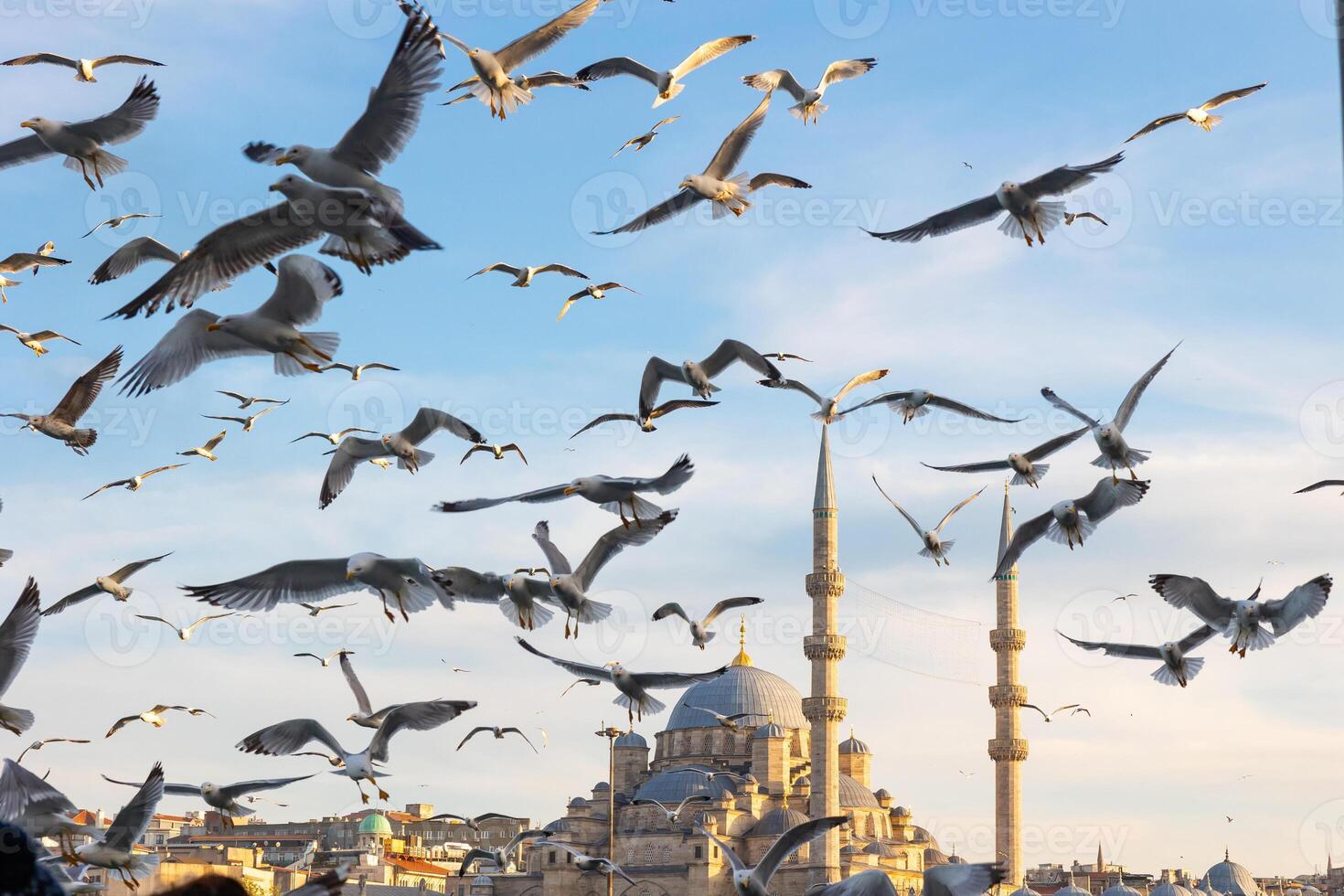 Voyage à Istanbul Contexte photo. mouettes et yéni cami ou Nouveau mosquée photo