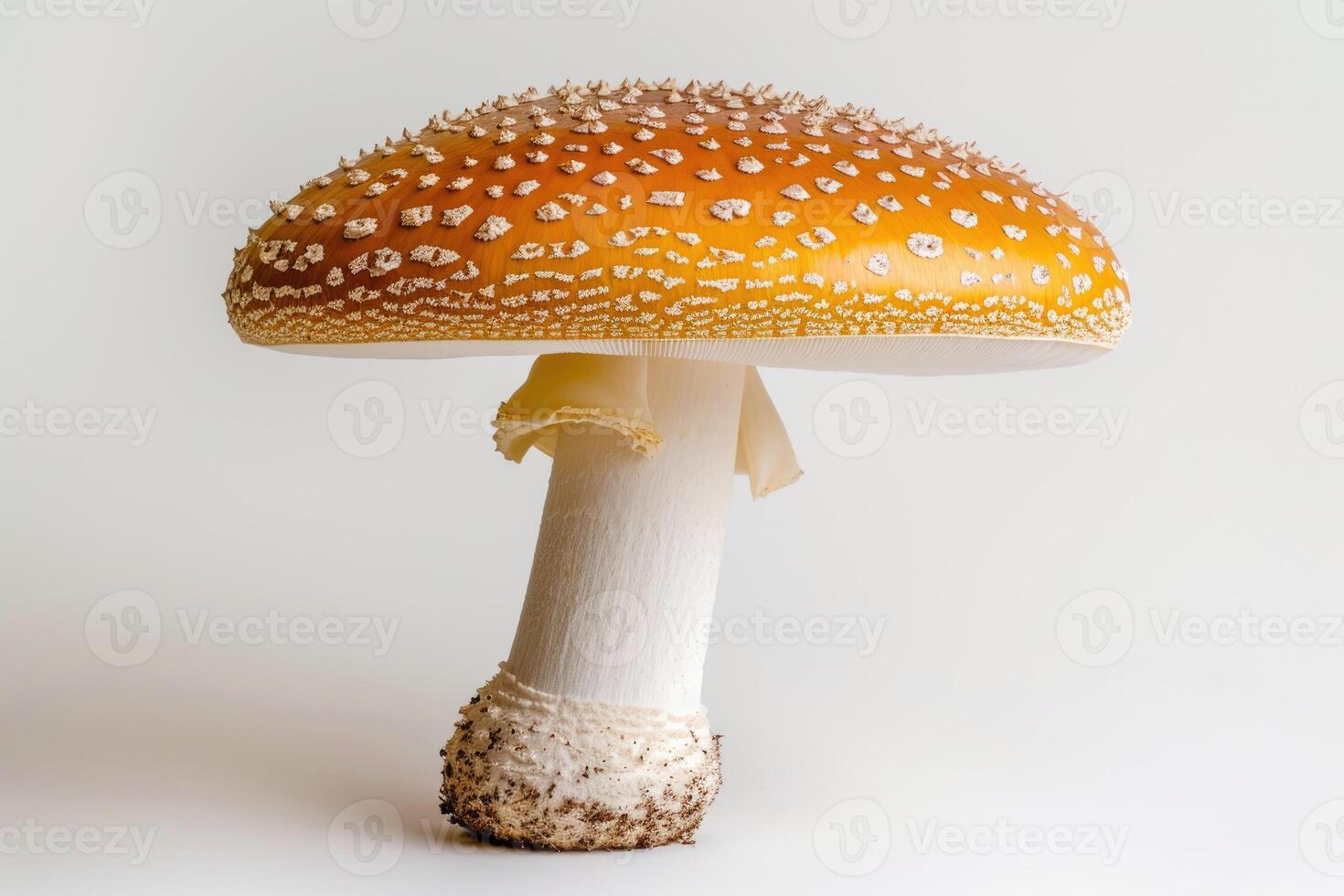 ai généré fermer de une amanite champignon sur une blanc Contexte une détaillé vue de une champignon mettant en valeur ses unique texture et couleur, capturé contre une nettoyer blanc Contexte. photo