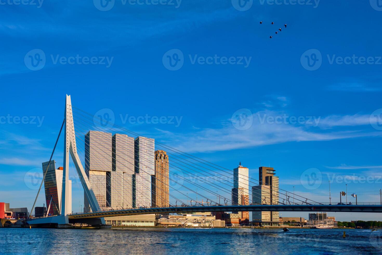 Rotterdam paysage urbain , Pays-Bas photo