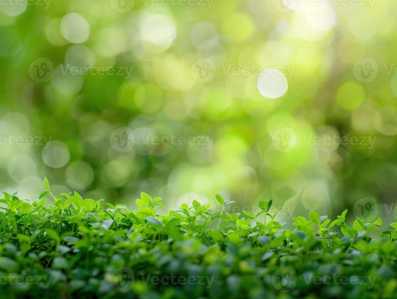 ai généré vert la nature Contexte photo