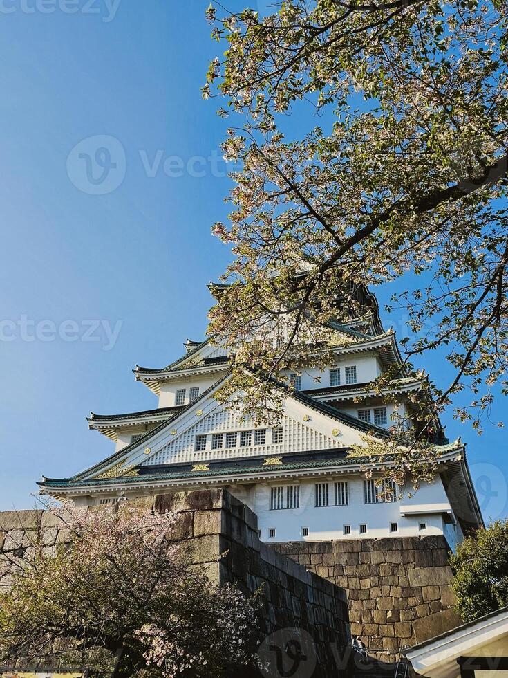 des arbres dans de face de un vieux blanc pagode photo